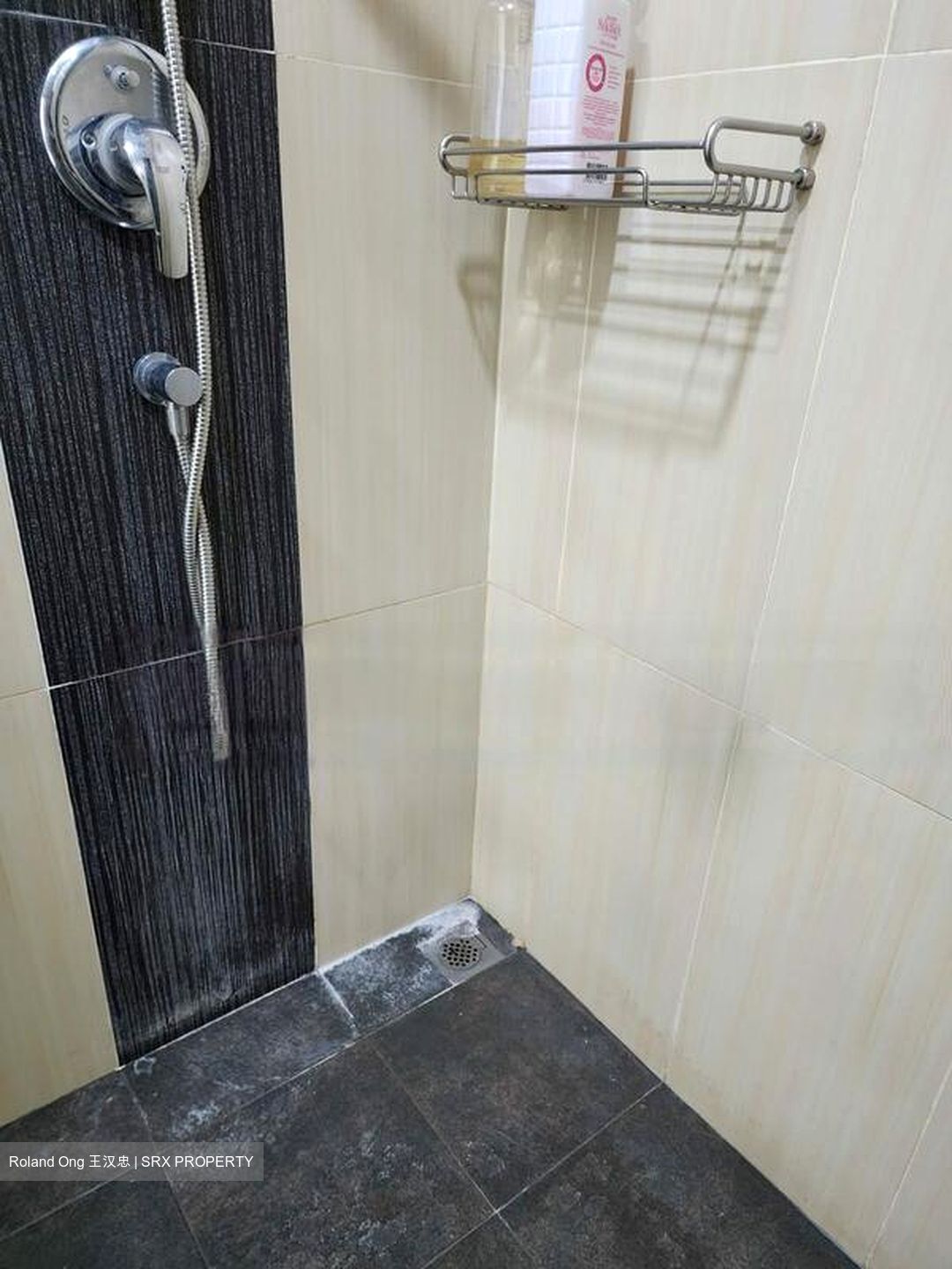 Cardiff Residence (D19), Condominium #449151831